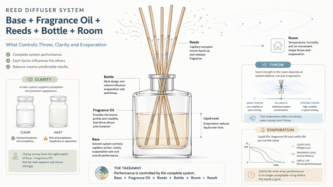 Reed diffuser base and fragrance oil tested for clarity, room throw, wicking and evaporation