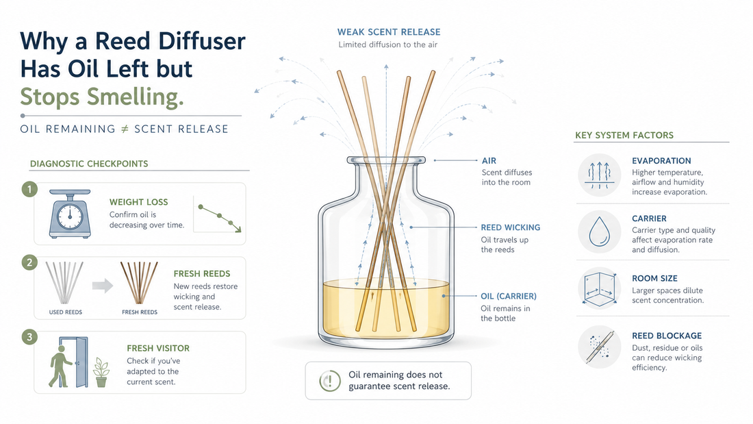 Why a Reed Diffuser Has Oil Left but Stops Smelling