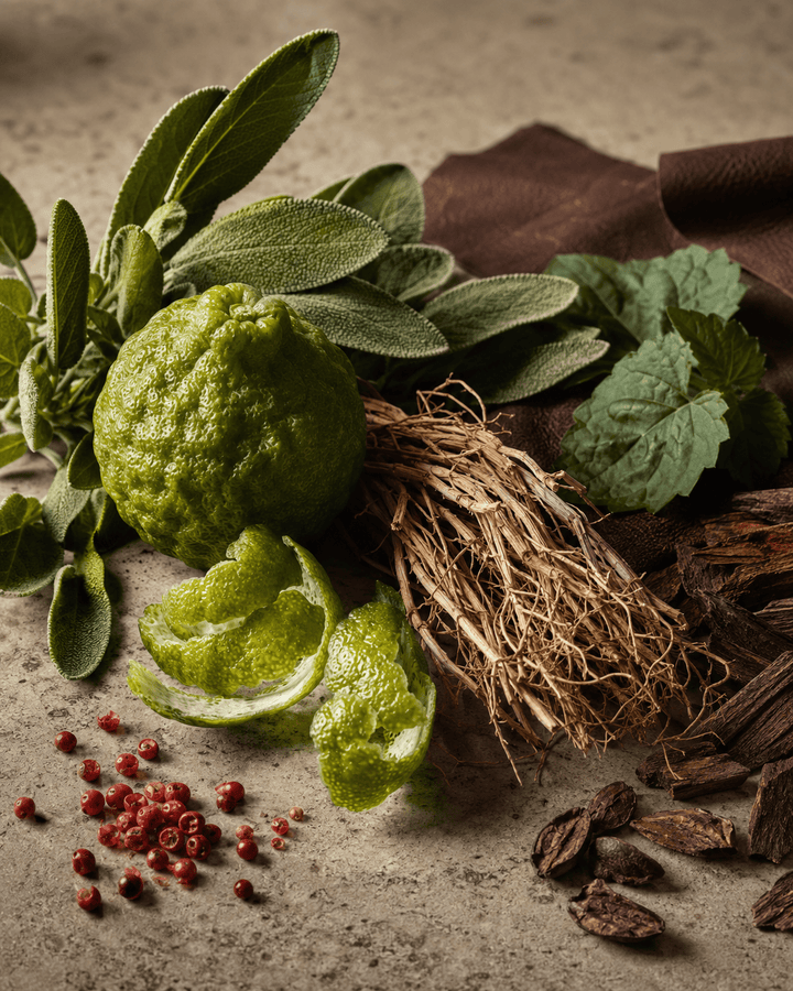 Explorer Woody Aromatic Inspired Perfume Fragrance Oil