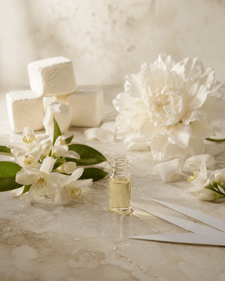 Love Don’t Be Shy Inspired Perfume Fragrance Oil