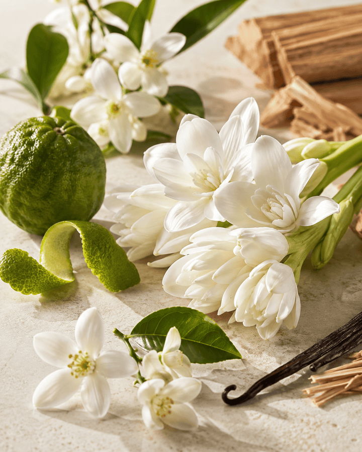 My Way Inspired Perfume Fragrance Oil