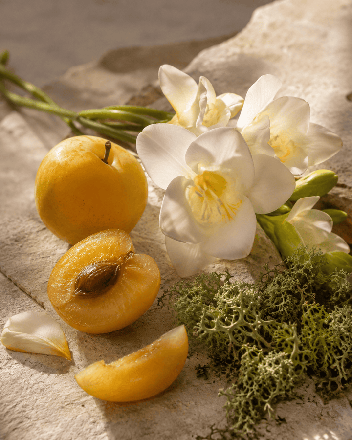 Nomade Mirabelle Chypre Inspired Perfume Fragrance Oil